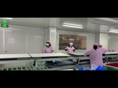 55 pouces Wifi connecté tableau noir numérique pour l'enseignement intégré haut-parleurs